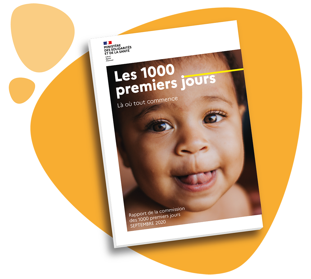 Rapport les 1000 premiers jours - Isabelle Filliozat