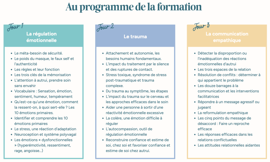 programme des 3 jours de formation à l'Intelligence émotionnelle